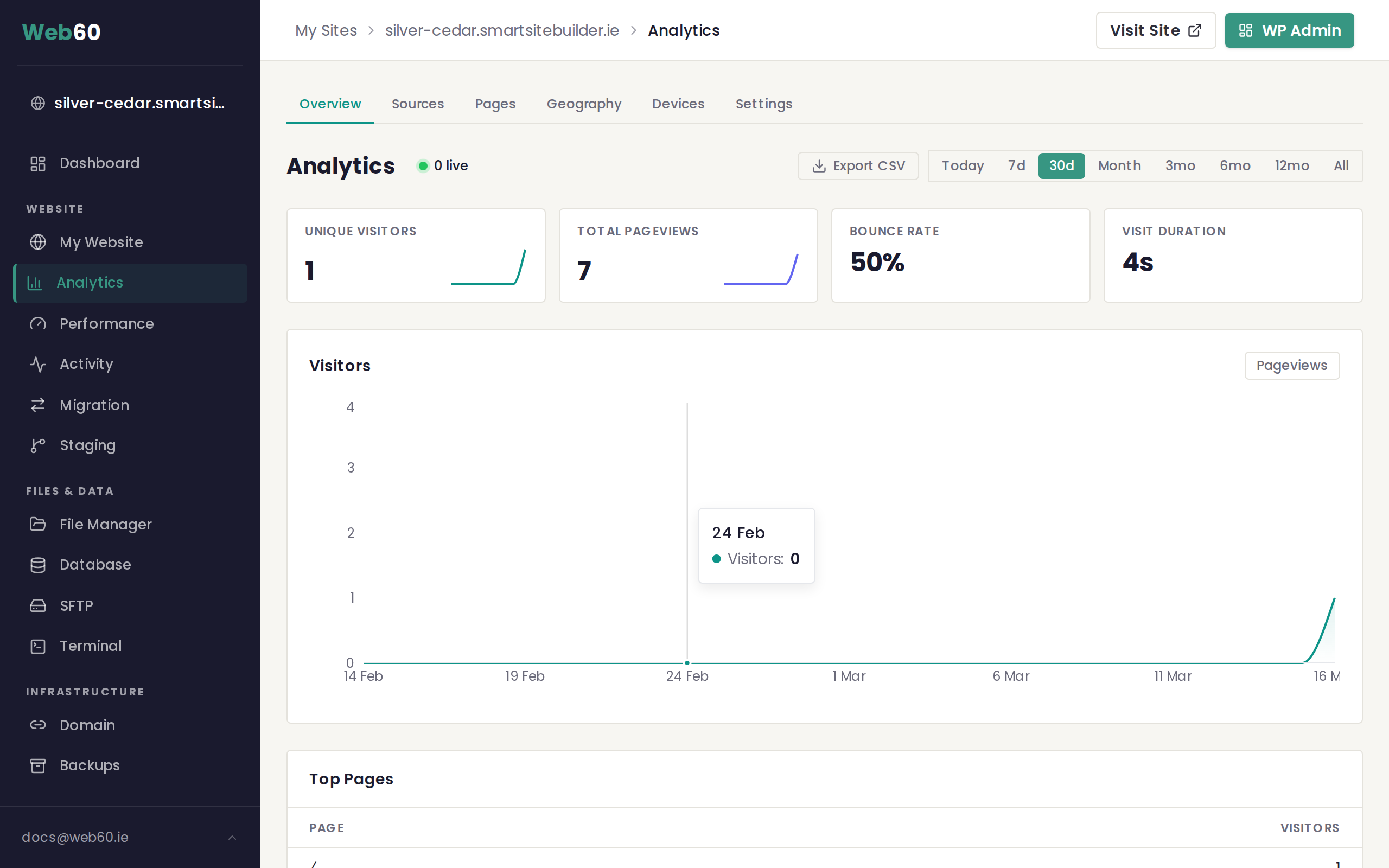 The Analytics dashboard showing visitor chart and summary cards